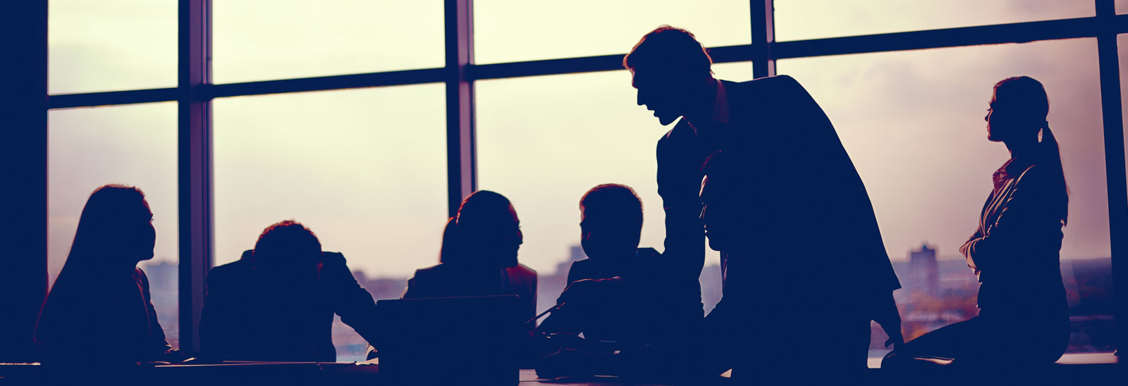 Executive Leadership